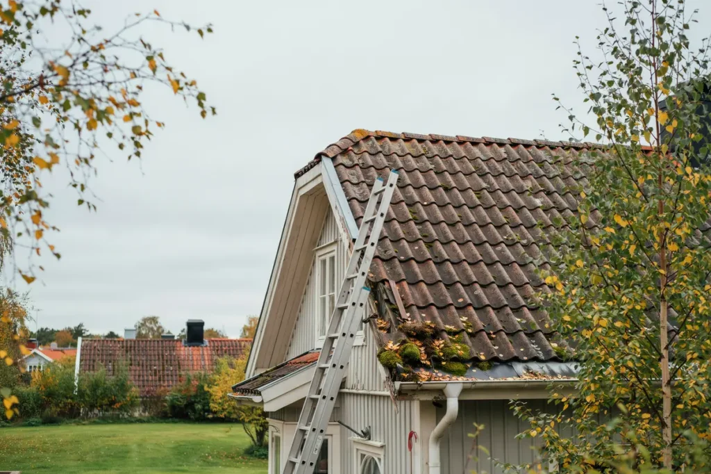 septembercheck f r taket smarta tg rder innan h stregnen sl r till